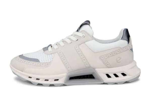 Biom C4
